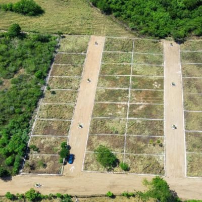 DJI_0460
